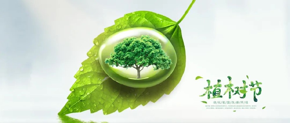 �������������O����ؓ�ô��� ֲ�����¾G����Ͷ�a(ch��n)�I(y��)�@�M���_չֲ����